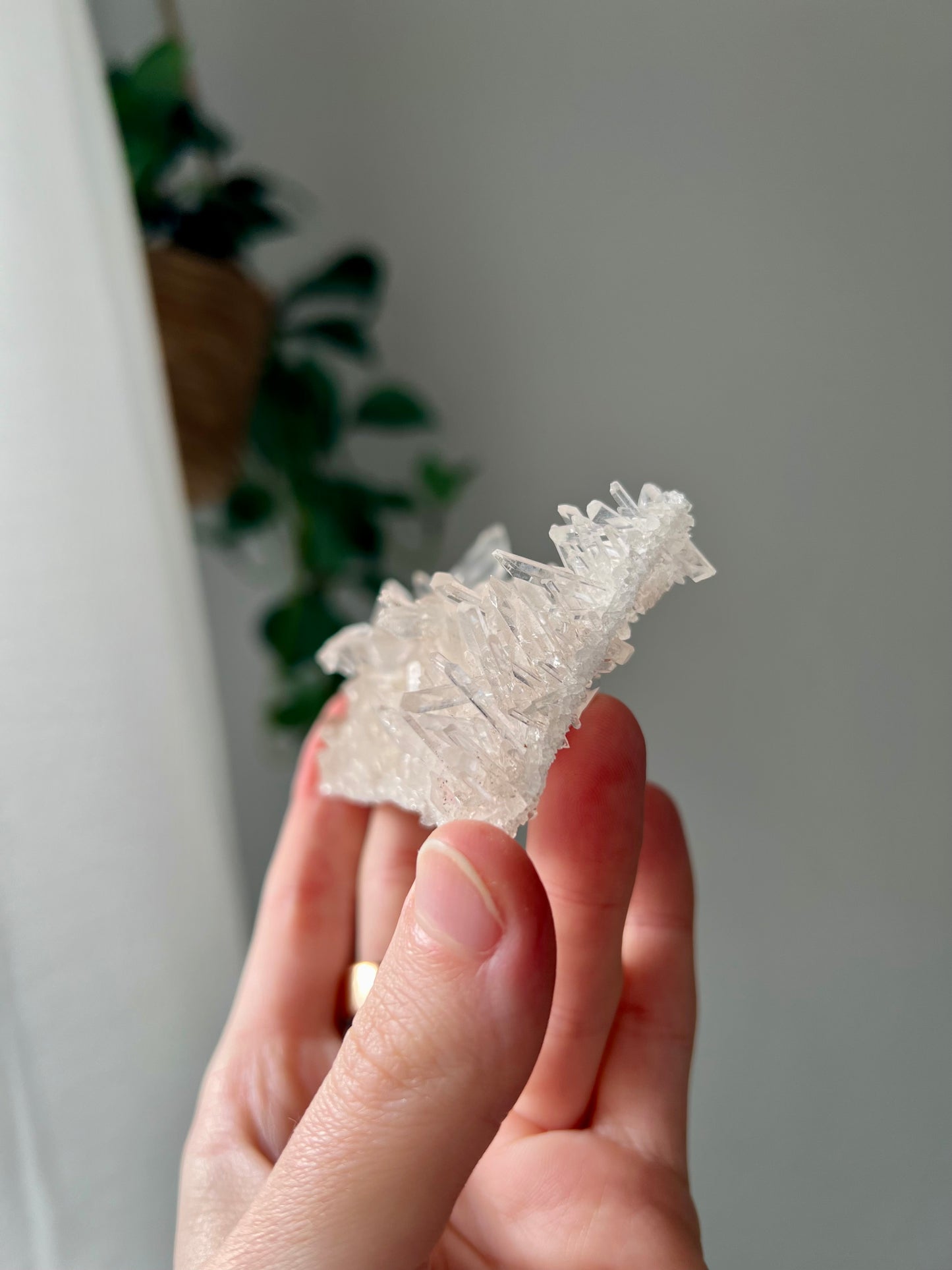 Himalayan Needle Quartz