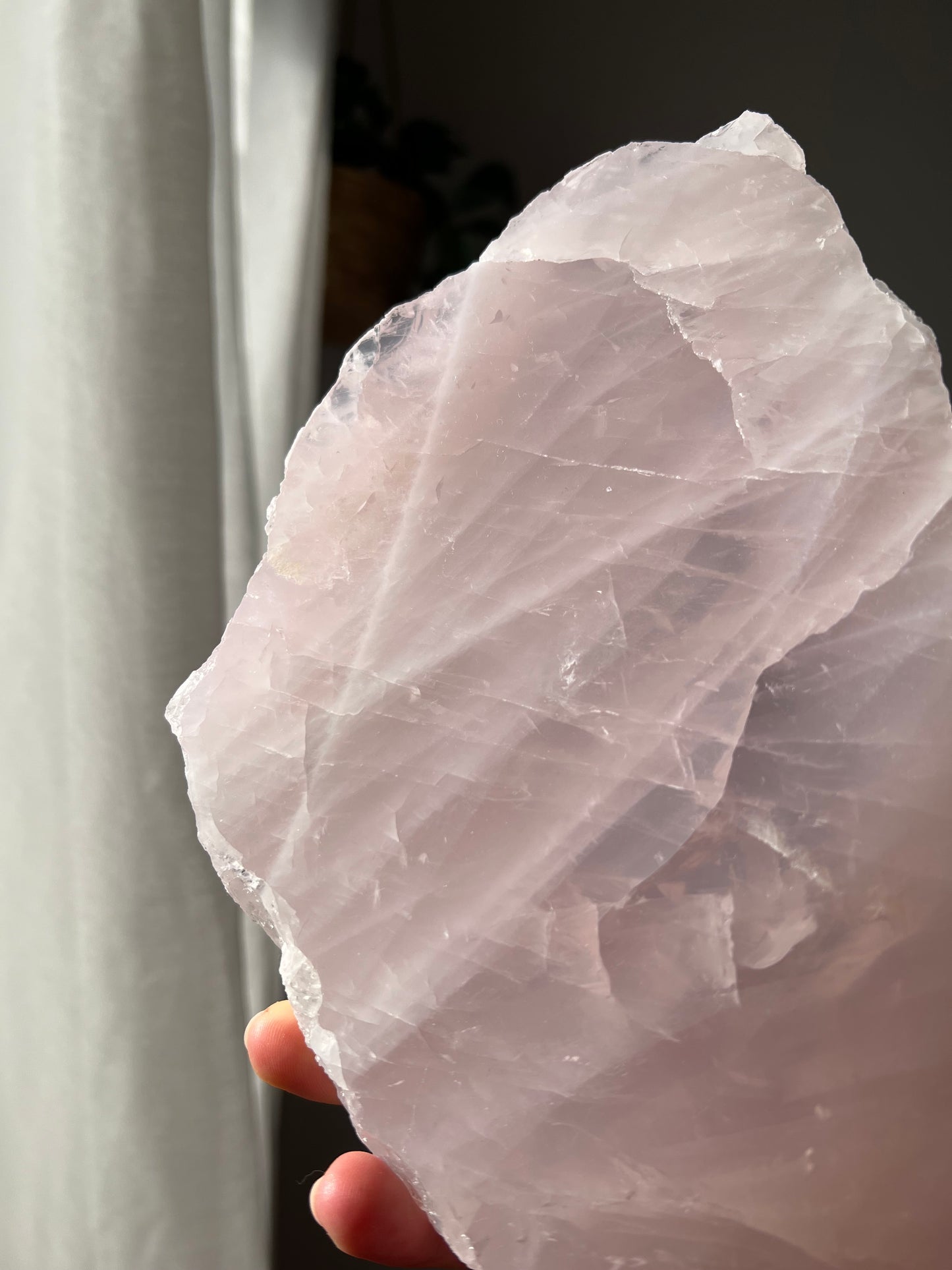 Rose Quartz slice from Brazil 01