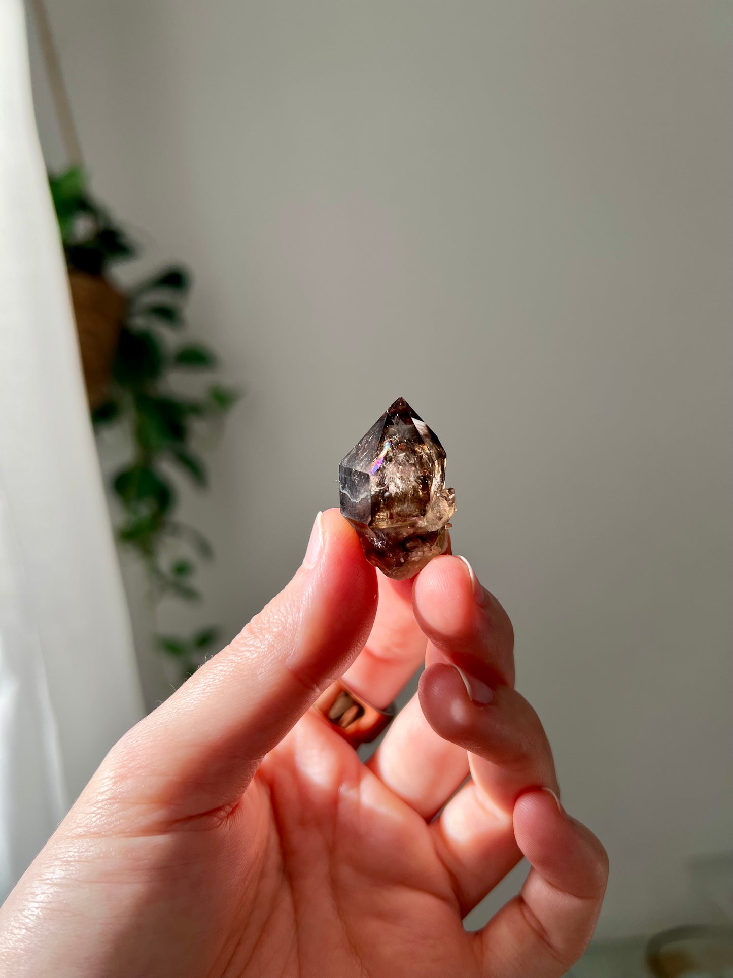 Smokey Quartz from NT