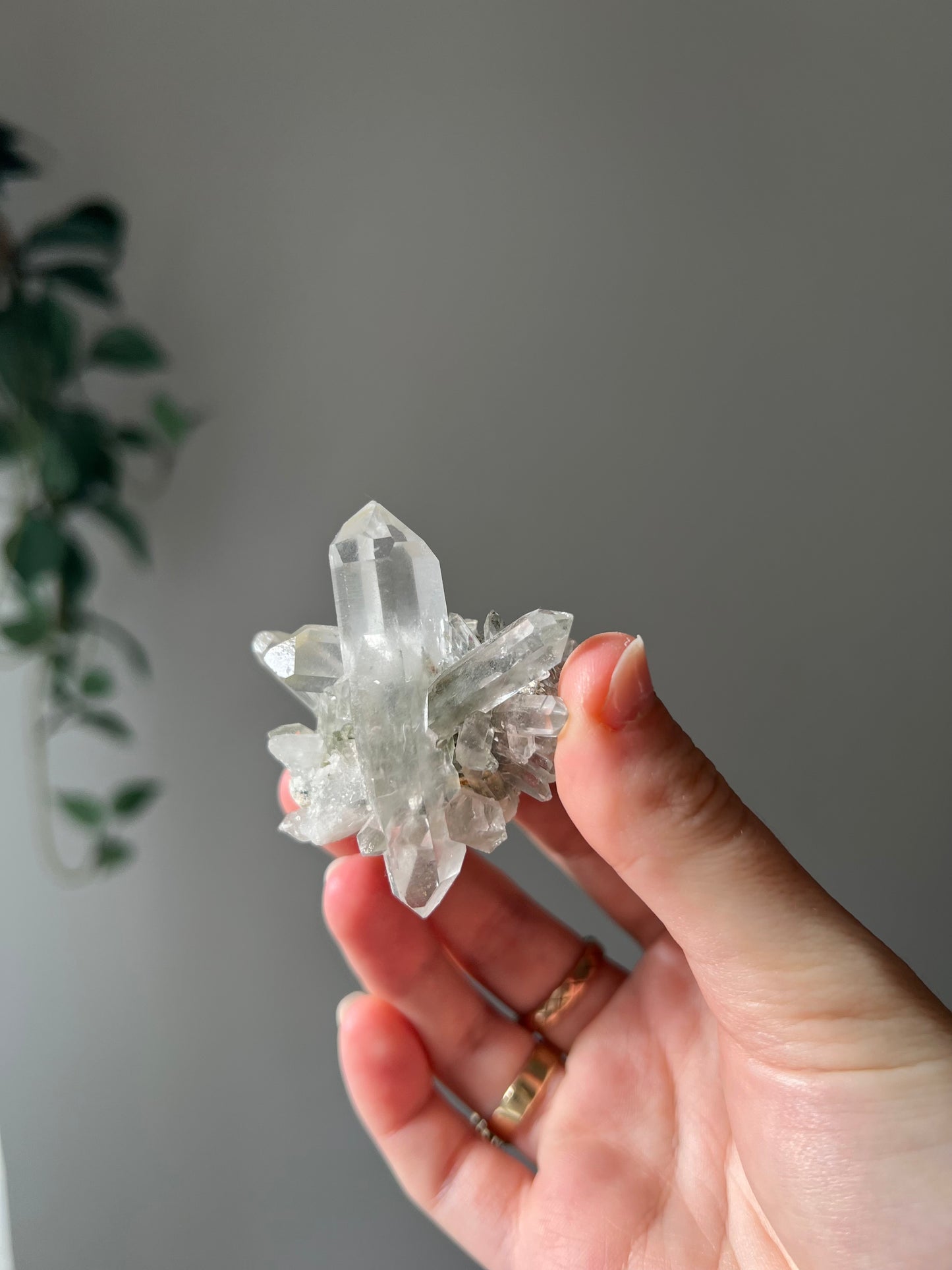 Quartz with chlorite from Afghanistan