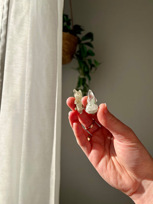 Pair of mini Himalayan Quartz with chlorite