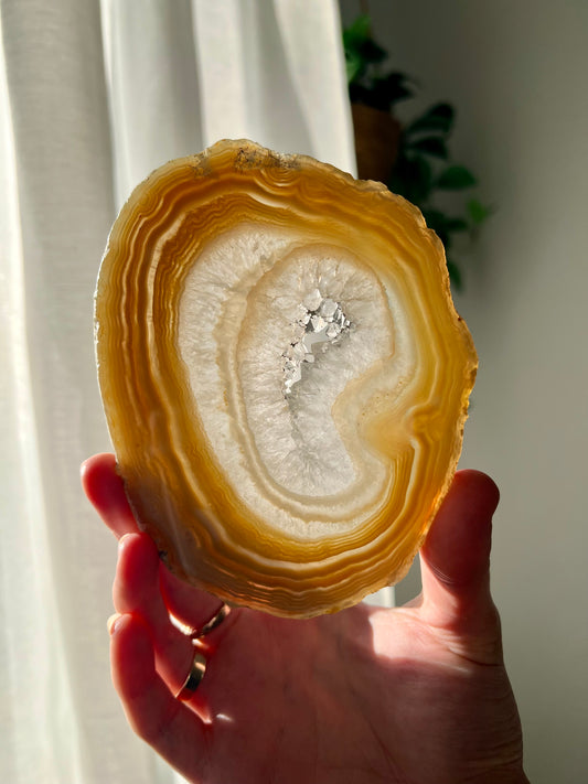 Agate and Quartz slice from Brazil