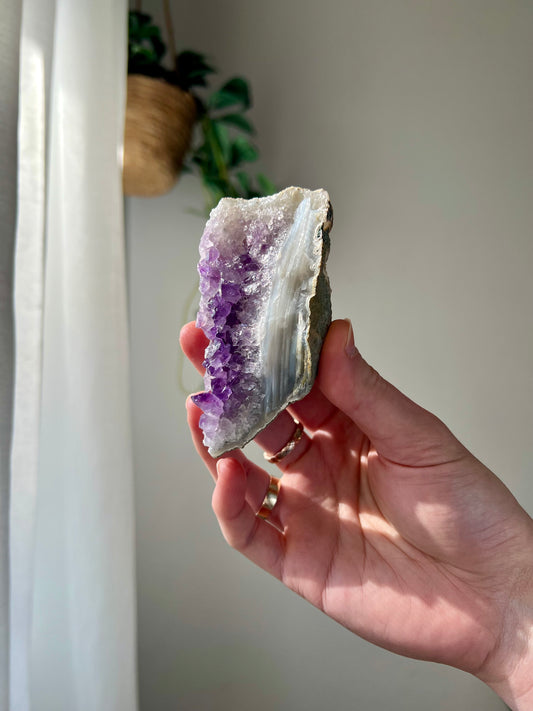 Amethyst Cluster from Brazil