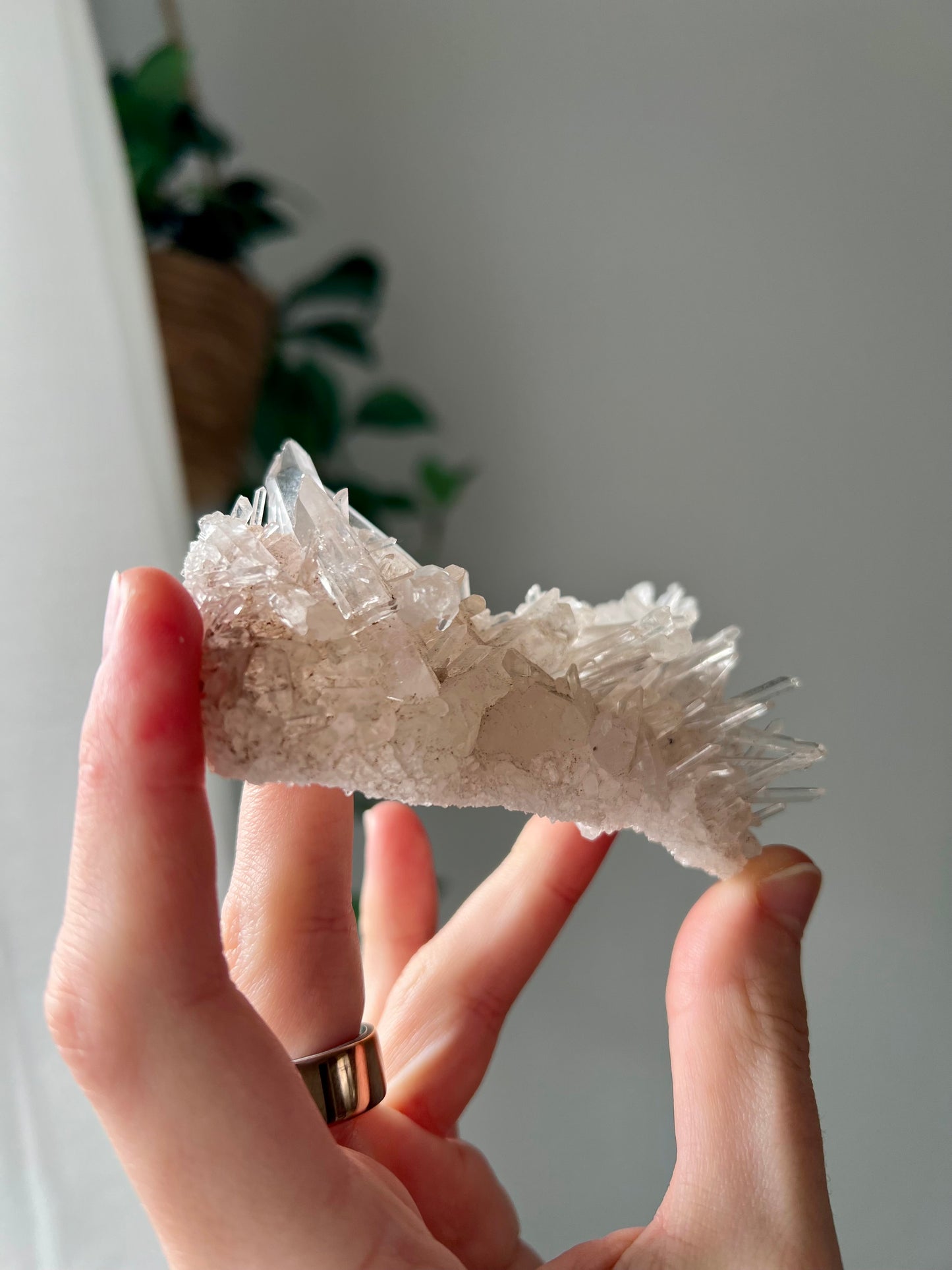 Himalayan Needle Quartz