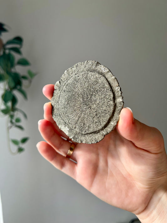 Pyrite Sun from Sparta Illinois USA 01