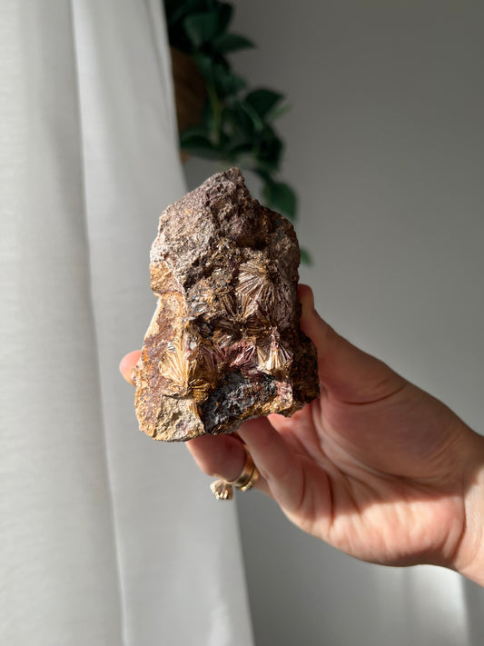 Pyrophyllite from Jones Creek NSW