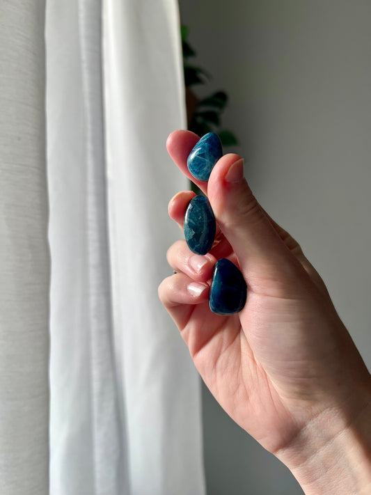Mini Blue Apatite Tumbled from Brazil