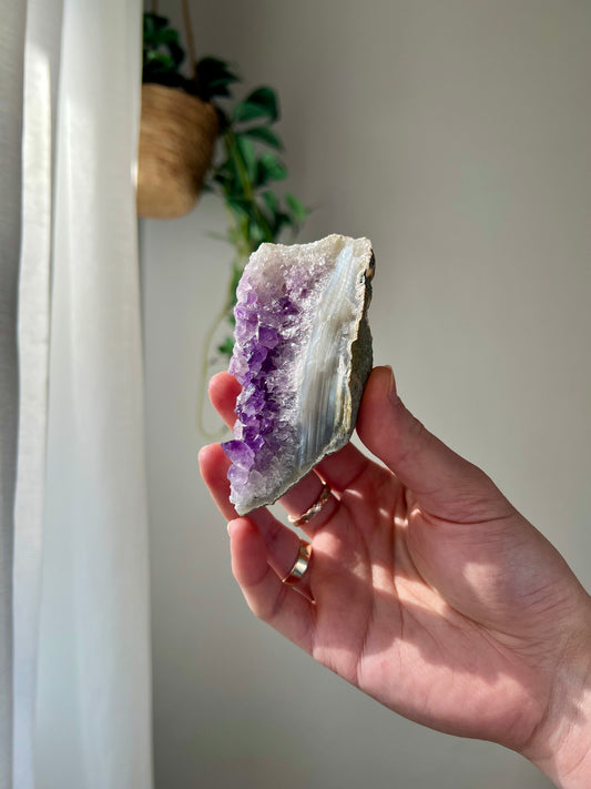 Amethyst Cluster from Brazil