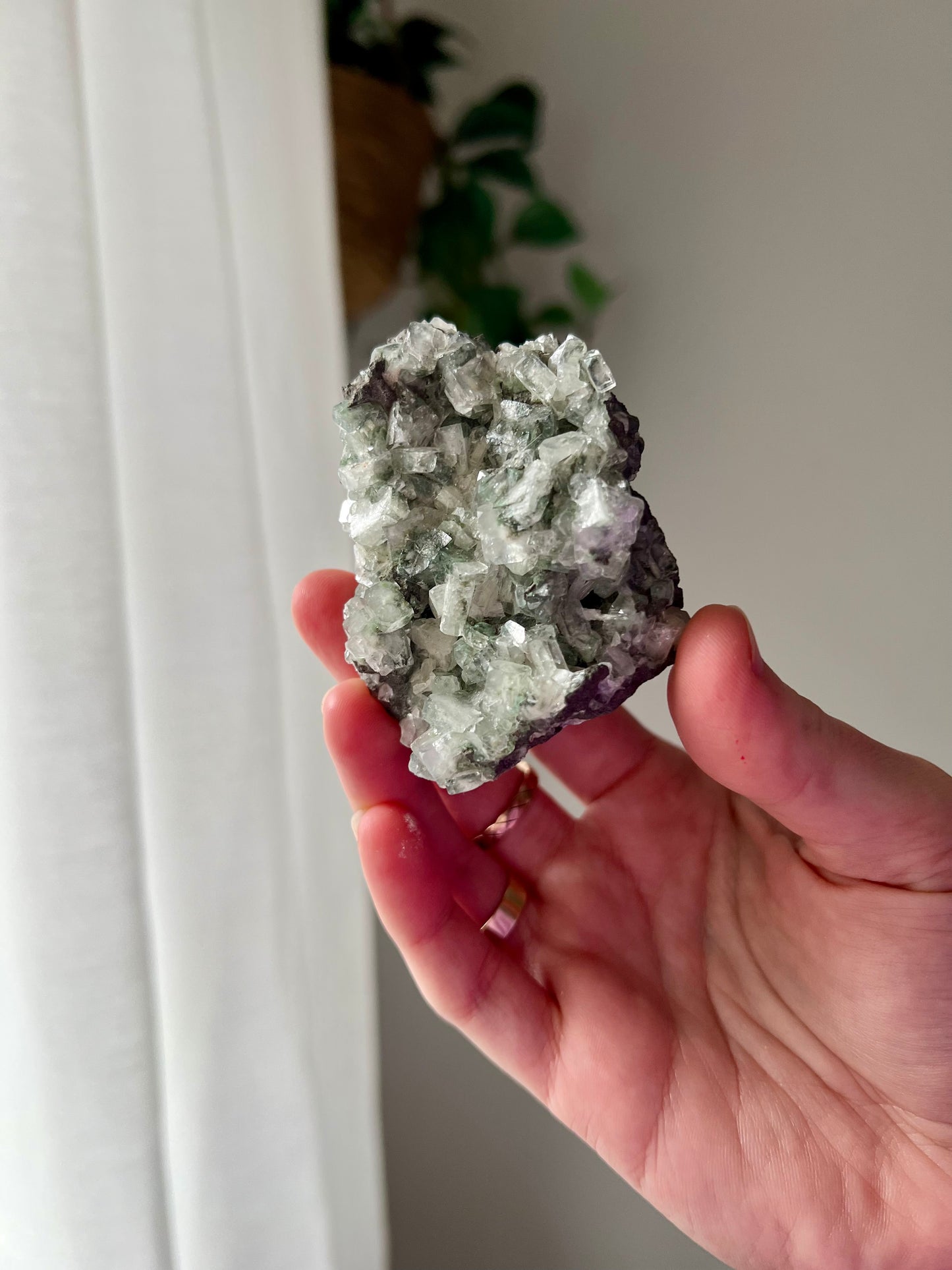 Green Apophyllite on Basalt from India