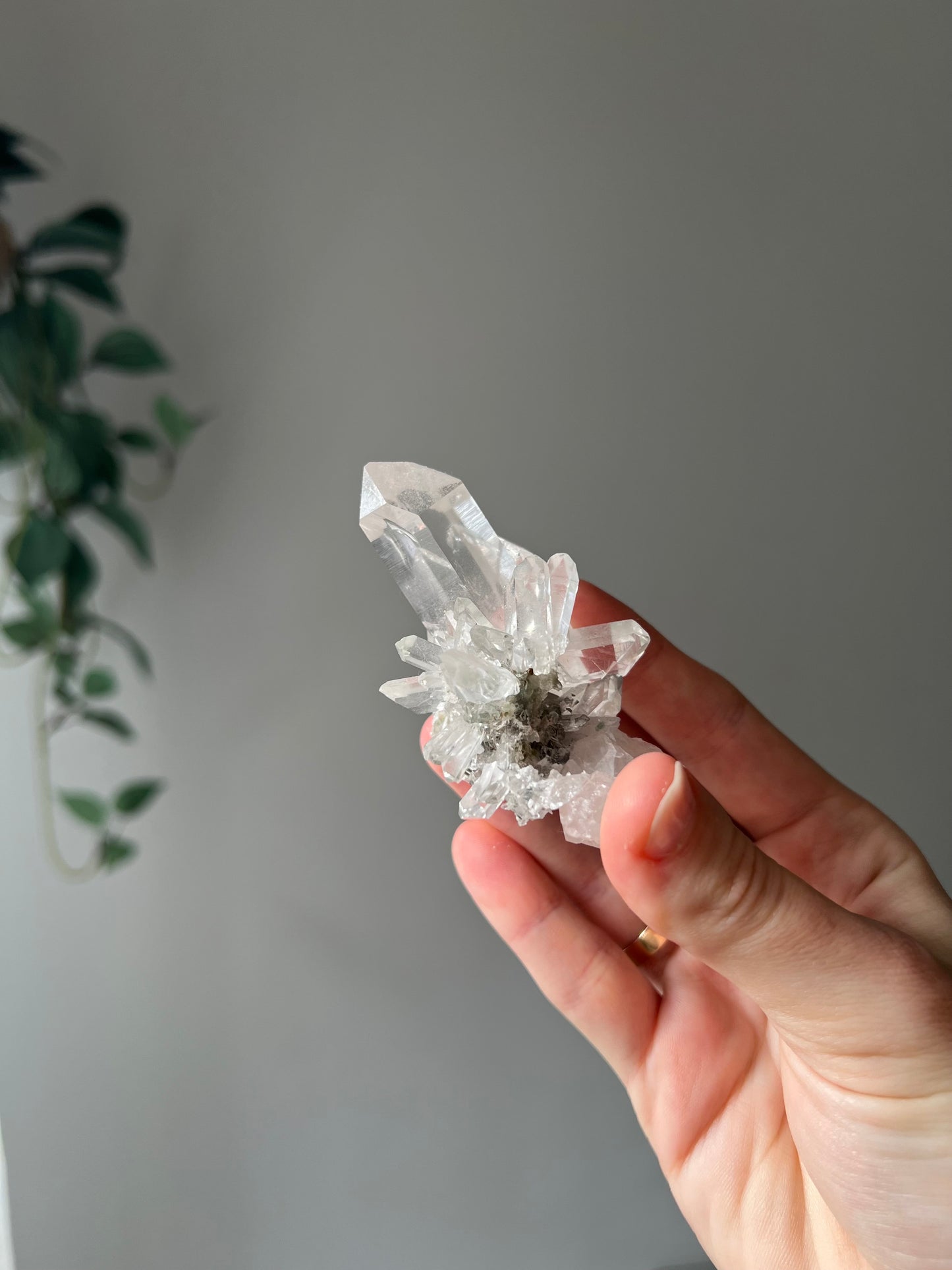 Quartz with Chlorite from Afghanistan