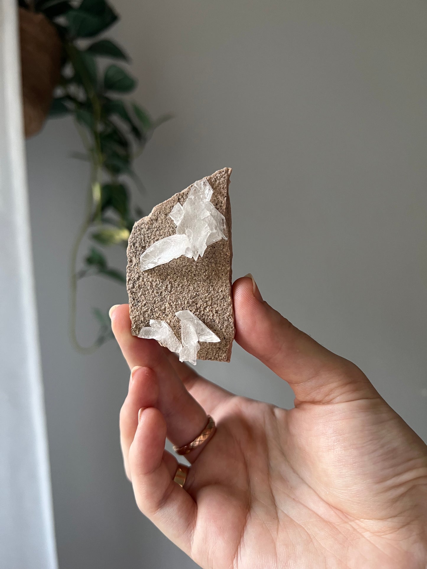 Selenite from Mexico