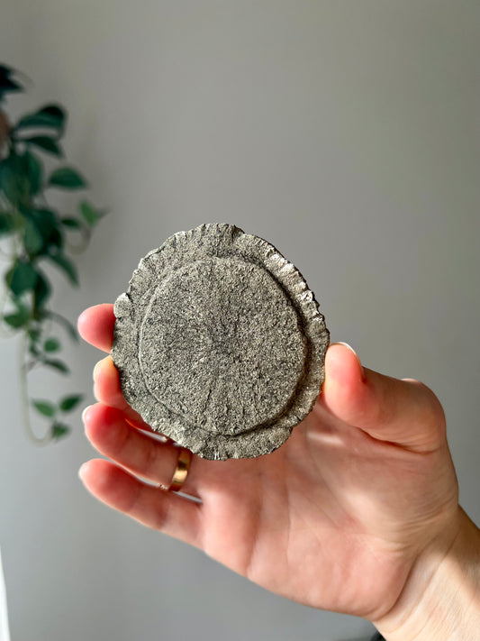 Pyrite Sun from Sparta Illinois USA 01