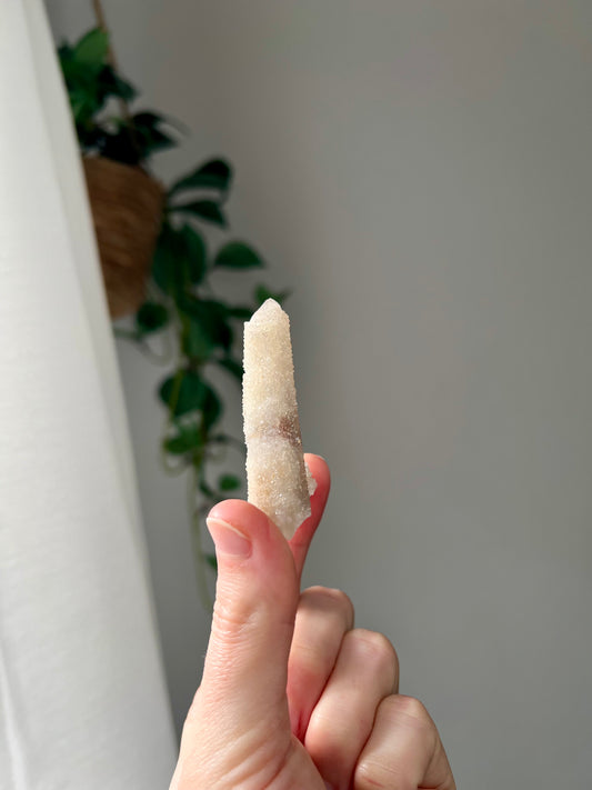 Witches Finger from Zimbabwe