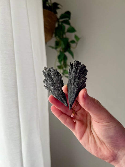 Black Kyanite fans from Brazil