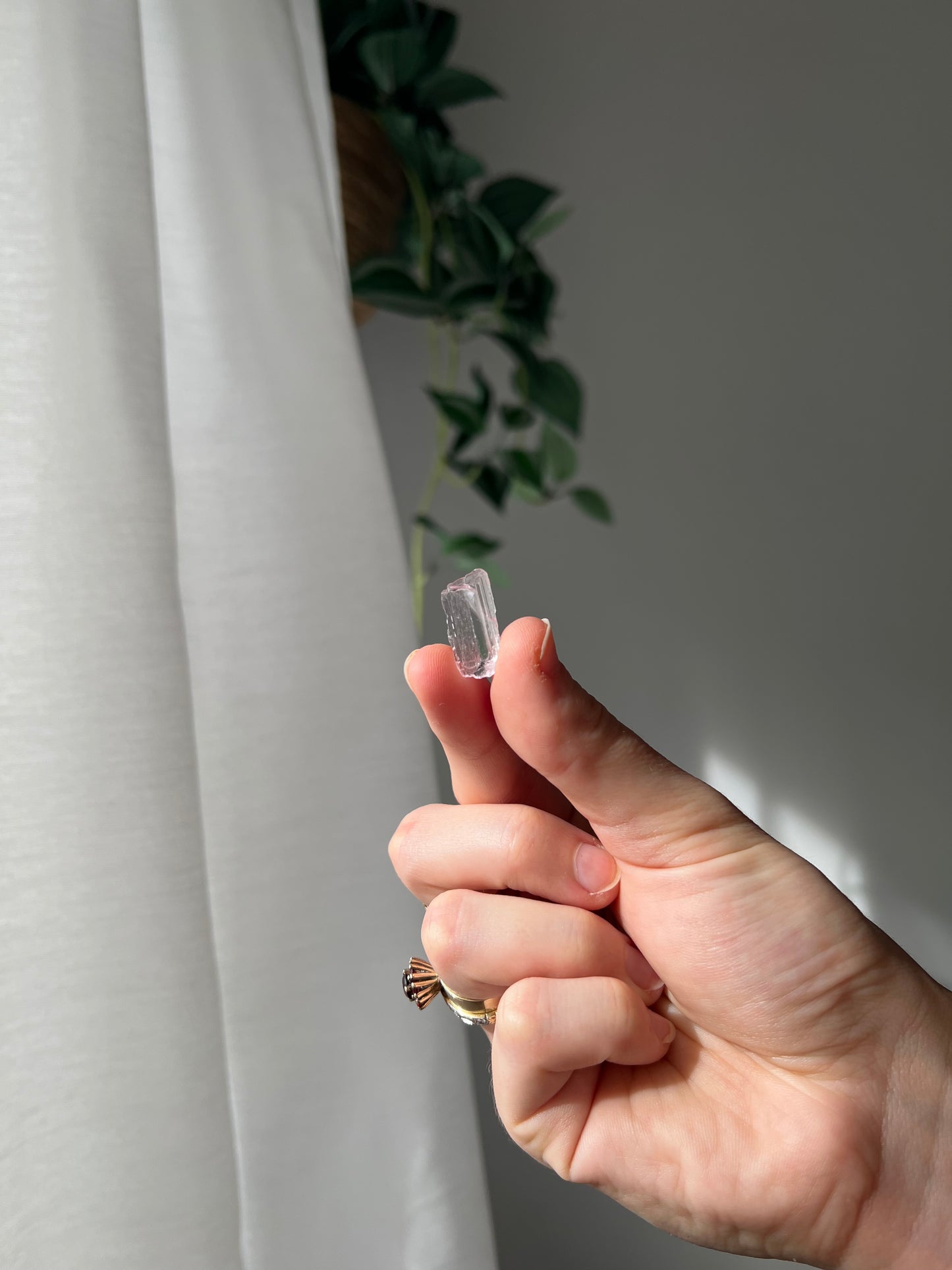 Kunzite from Afghanistan 02