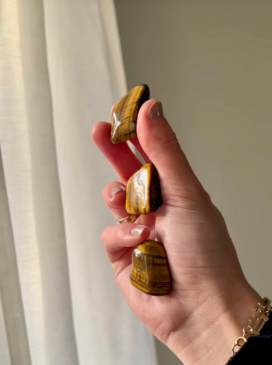 Tigers Eye tumbled stone from South Africa