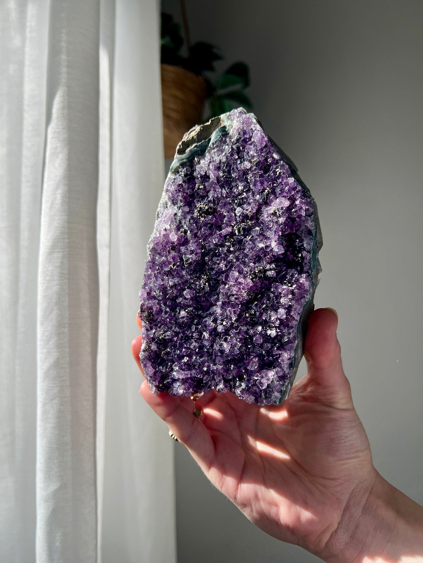 Amethyst Cluster from Brazil