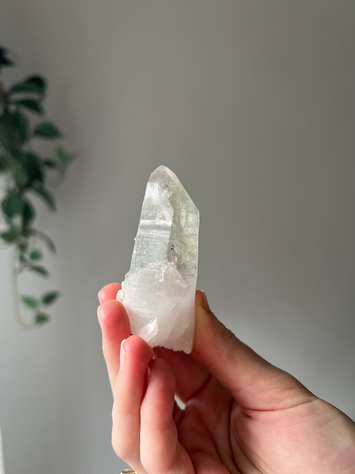 Himalayan Quartz with chlorite
