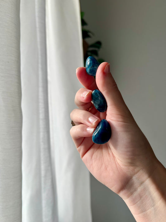 Mini Blue Apatite Tumbled from Brazil