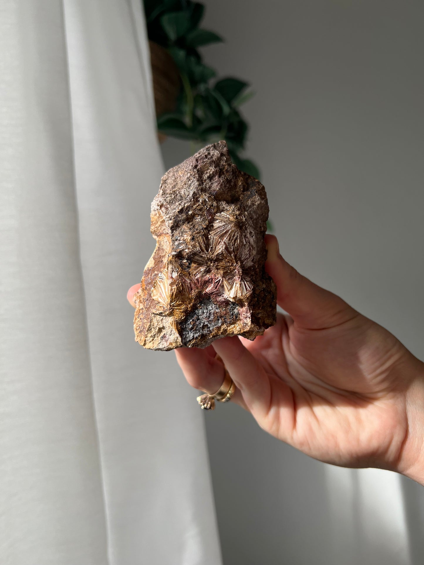 Pyrophyllite from Jones Creek NSW