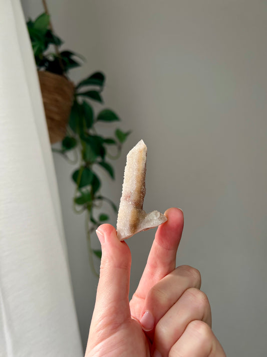 Witches Finger from Zimbabwe