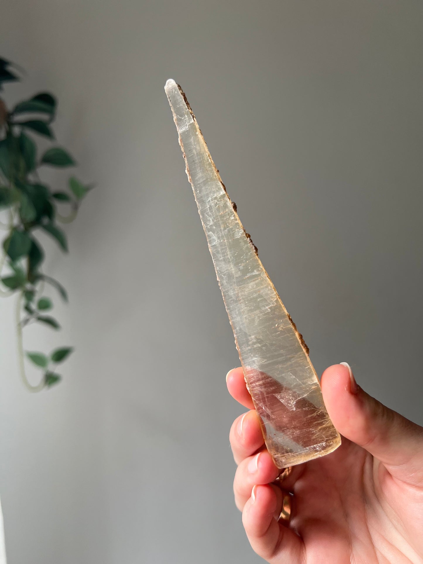 Hand dug Selenite from Mexico