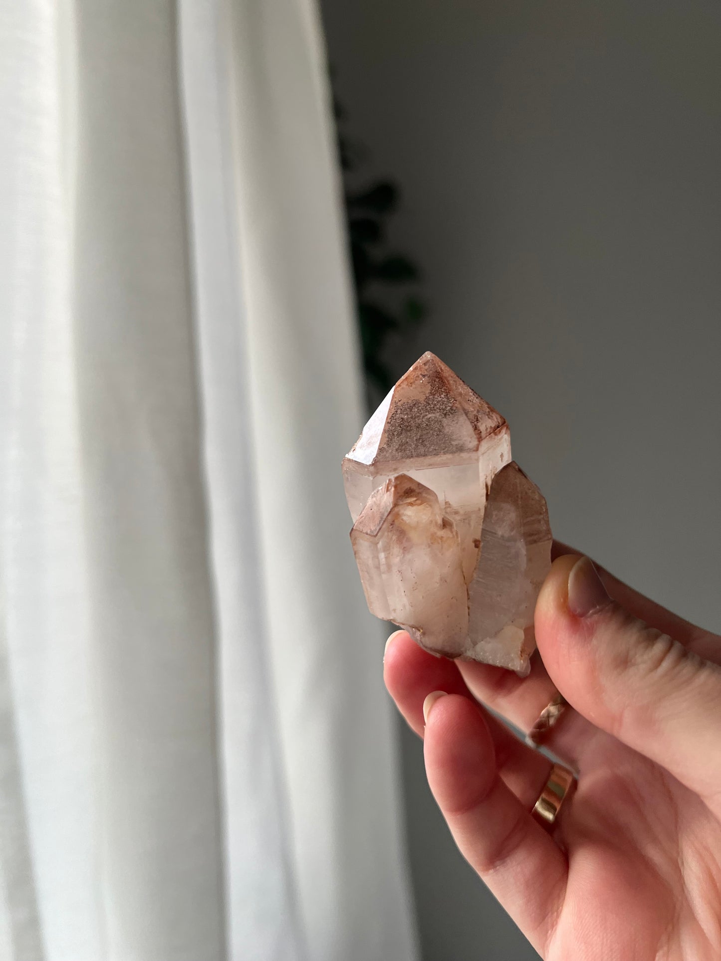 Quartz with Hematite from Toms Mountain Queensland