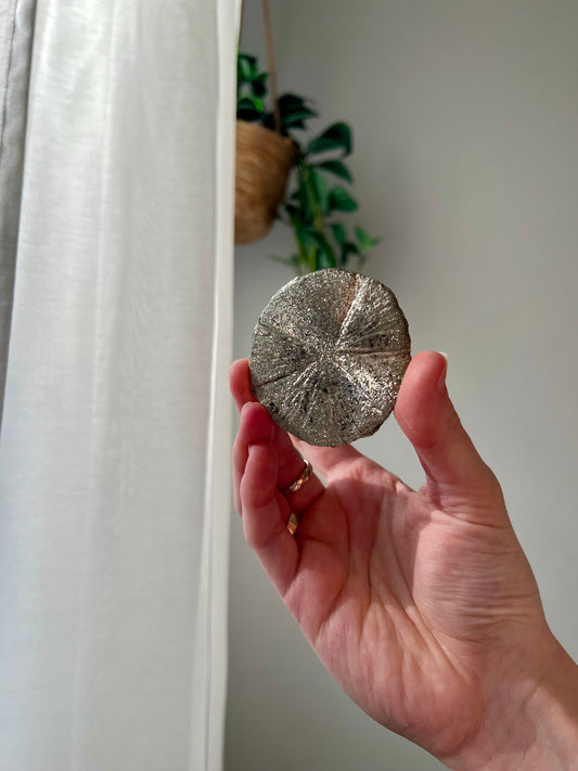 Rare Mini Pyrite Sun from Sparta Illinois USA