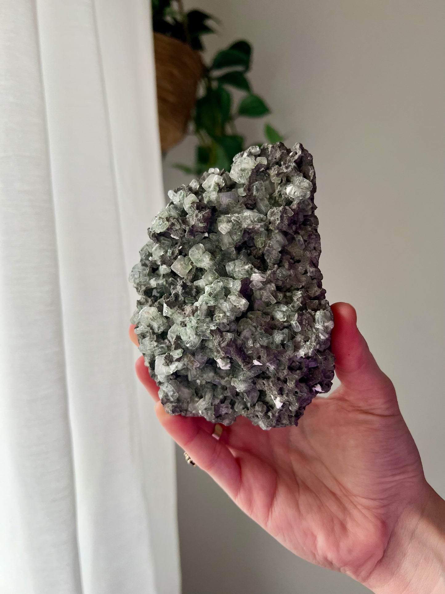 Green Apophyllite on Basalt from India