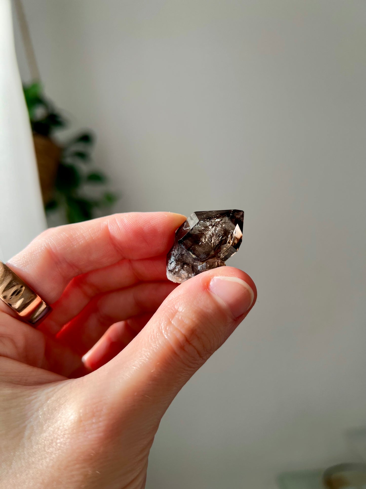 Smokey Quartz from NT