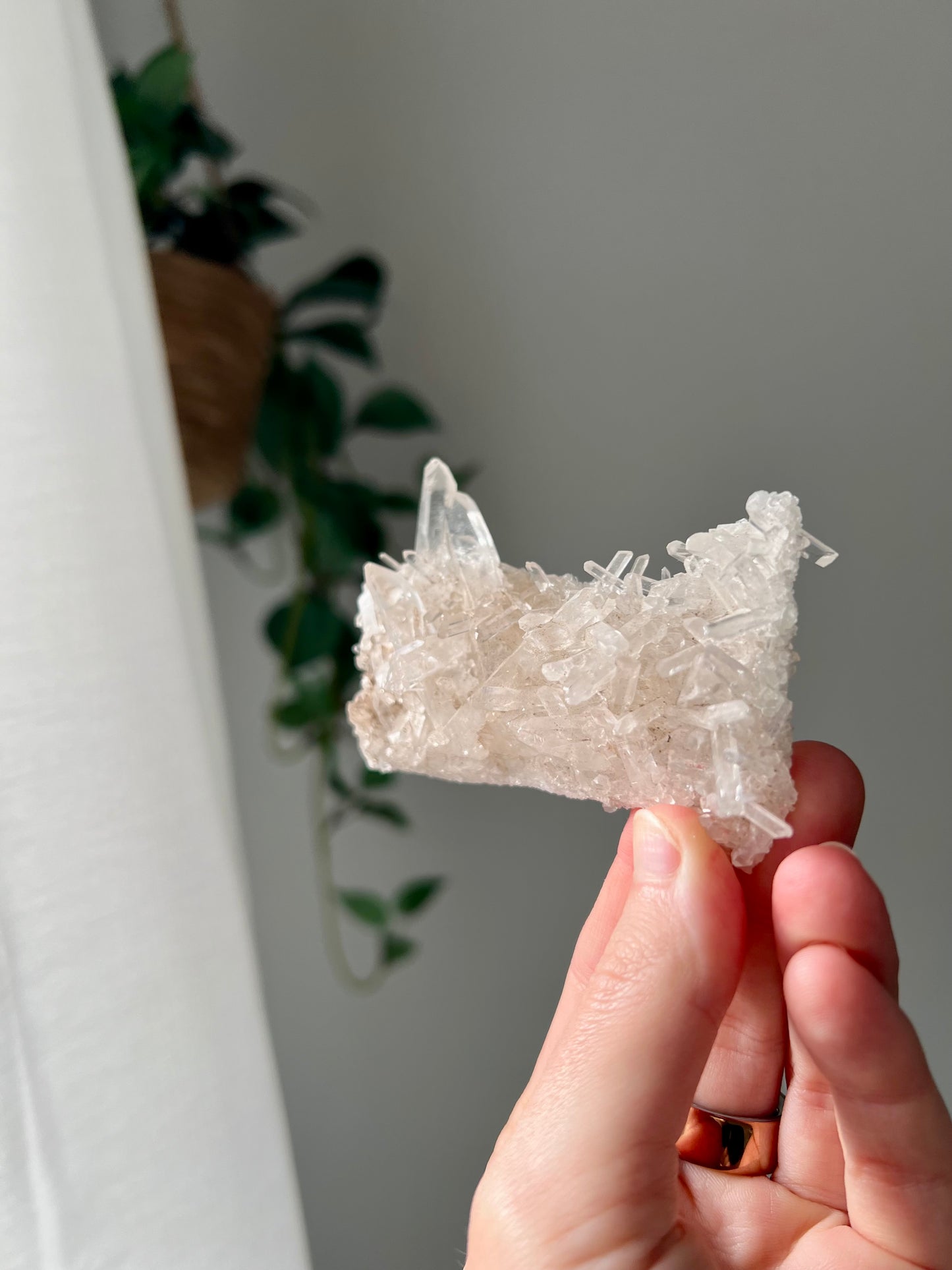 Himalayan Needle Quartz