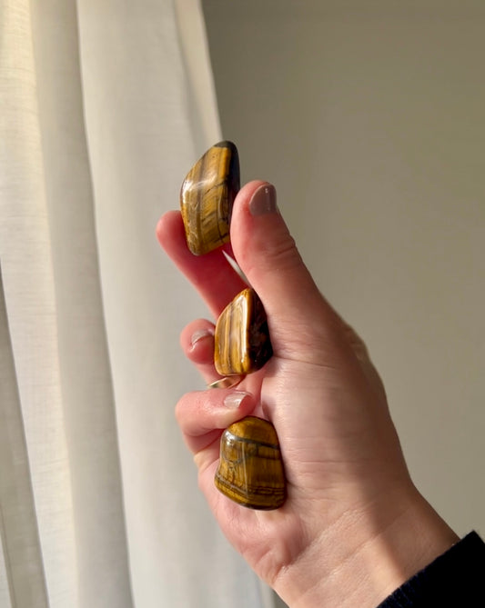 Tigers Eye tumbled stone from South Africa