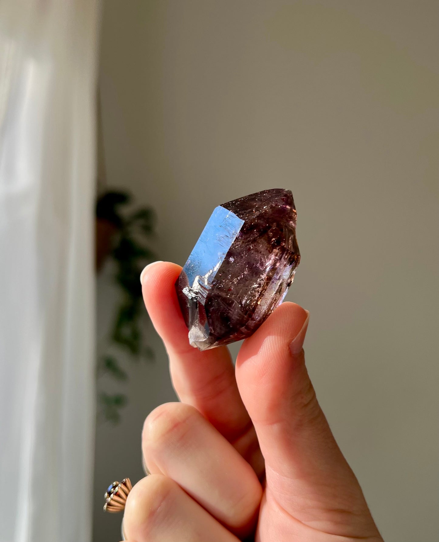 Brandburg Amethyst with moving enhydro