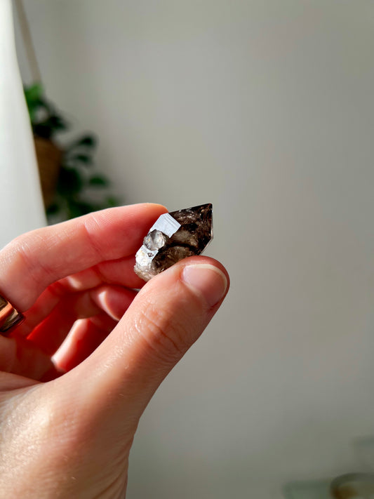 Smokey Quartz from NT