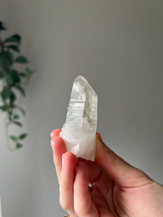 Himalayan Quartz with chlorite