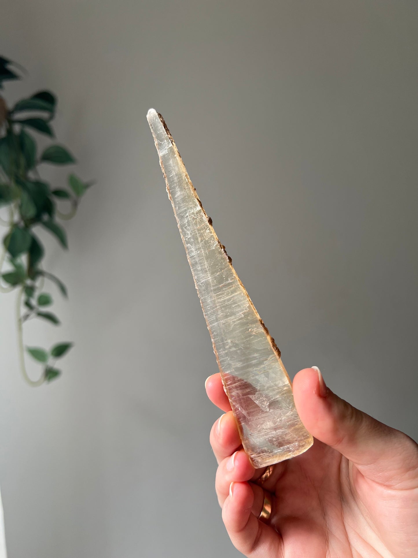 Hand dug Selenite from Mexico