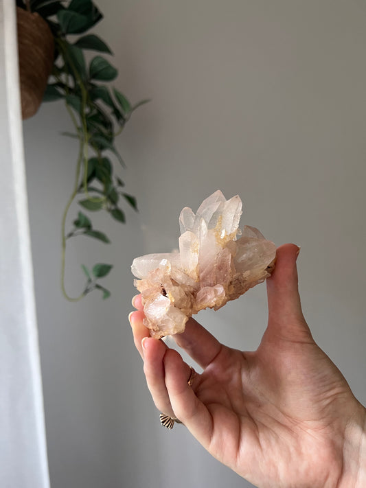 Himalayan Quartz cluster