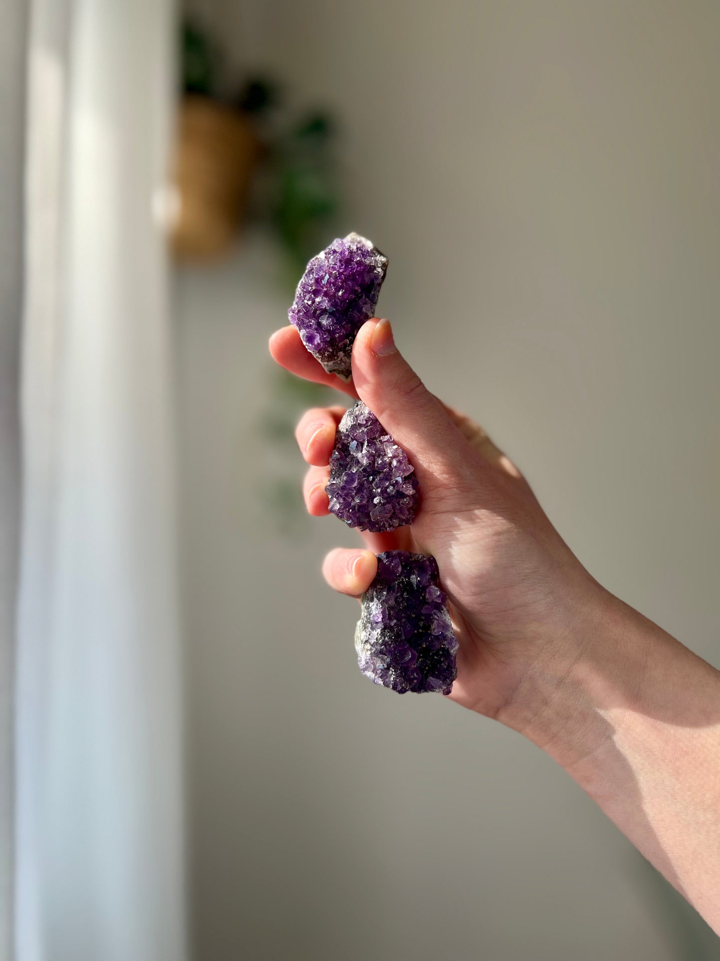 Amethyst cluster from Brazil