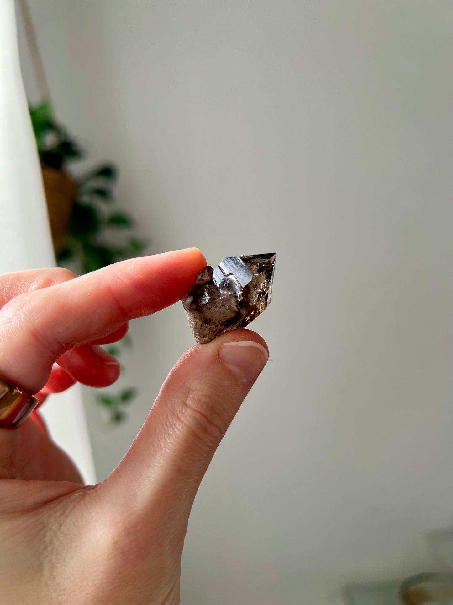 Smokey Quartz from NT