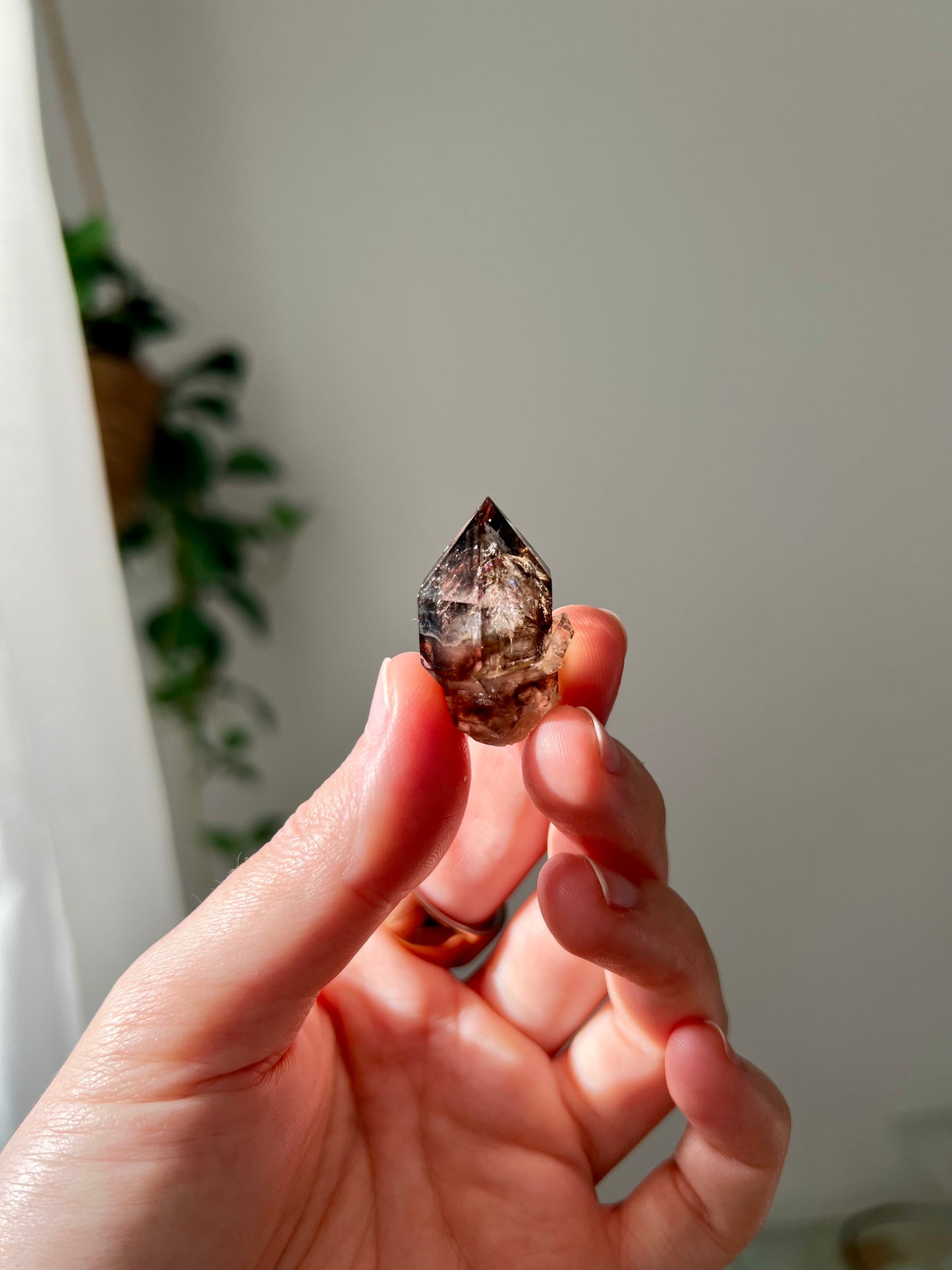 Smokey Quartz from NT