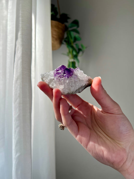 Amethyst Cluster from Brazil