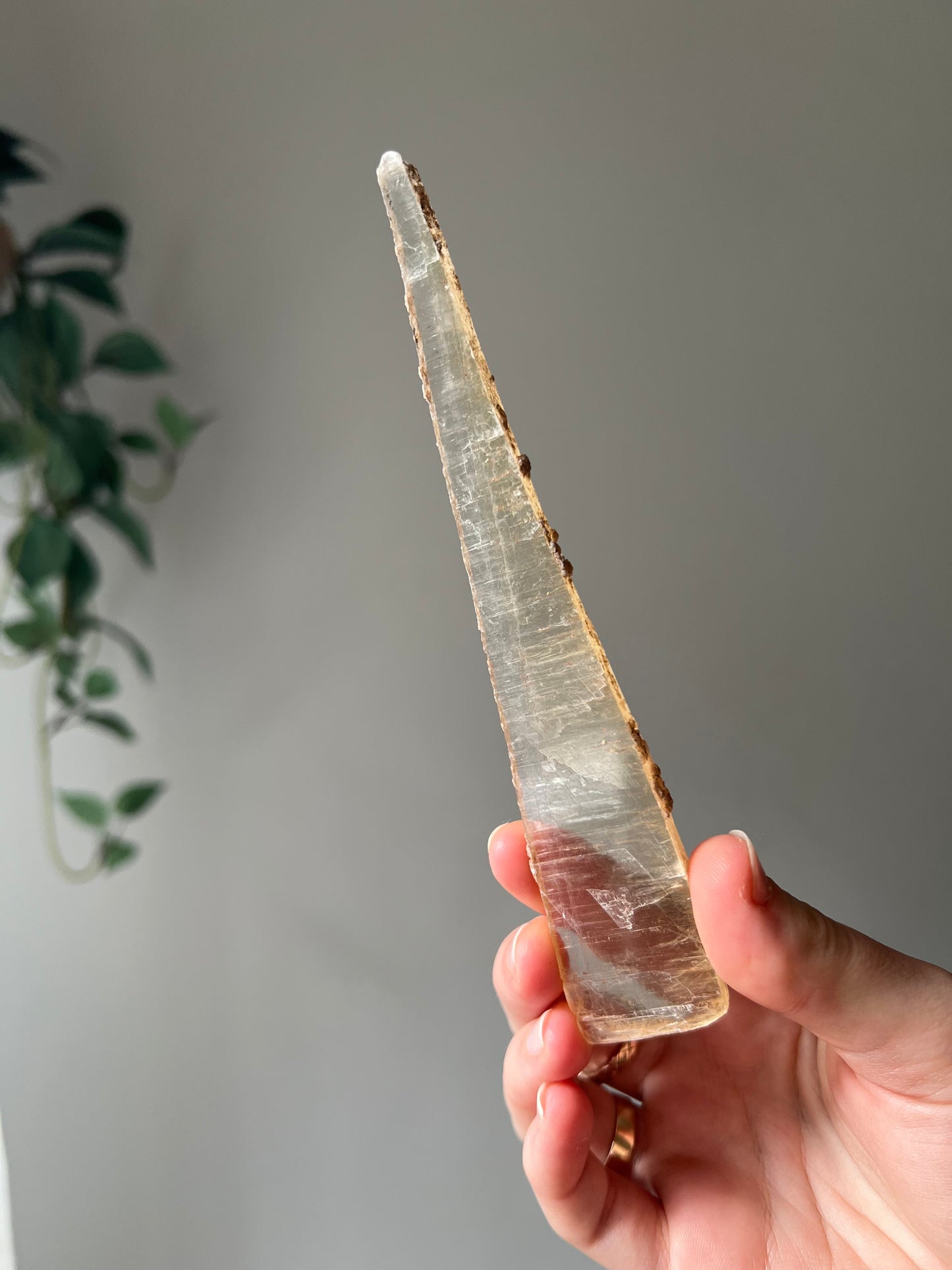 Hand dug Selenite from Mexico