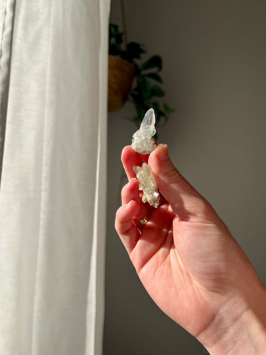 Pair of mini Himalayan Quartz with chlorite