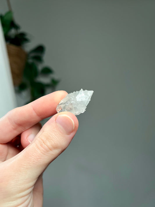 Apophyllite point from India
