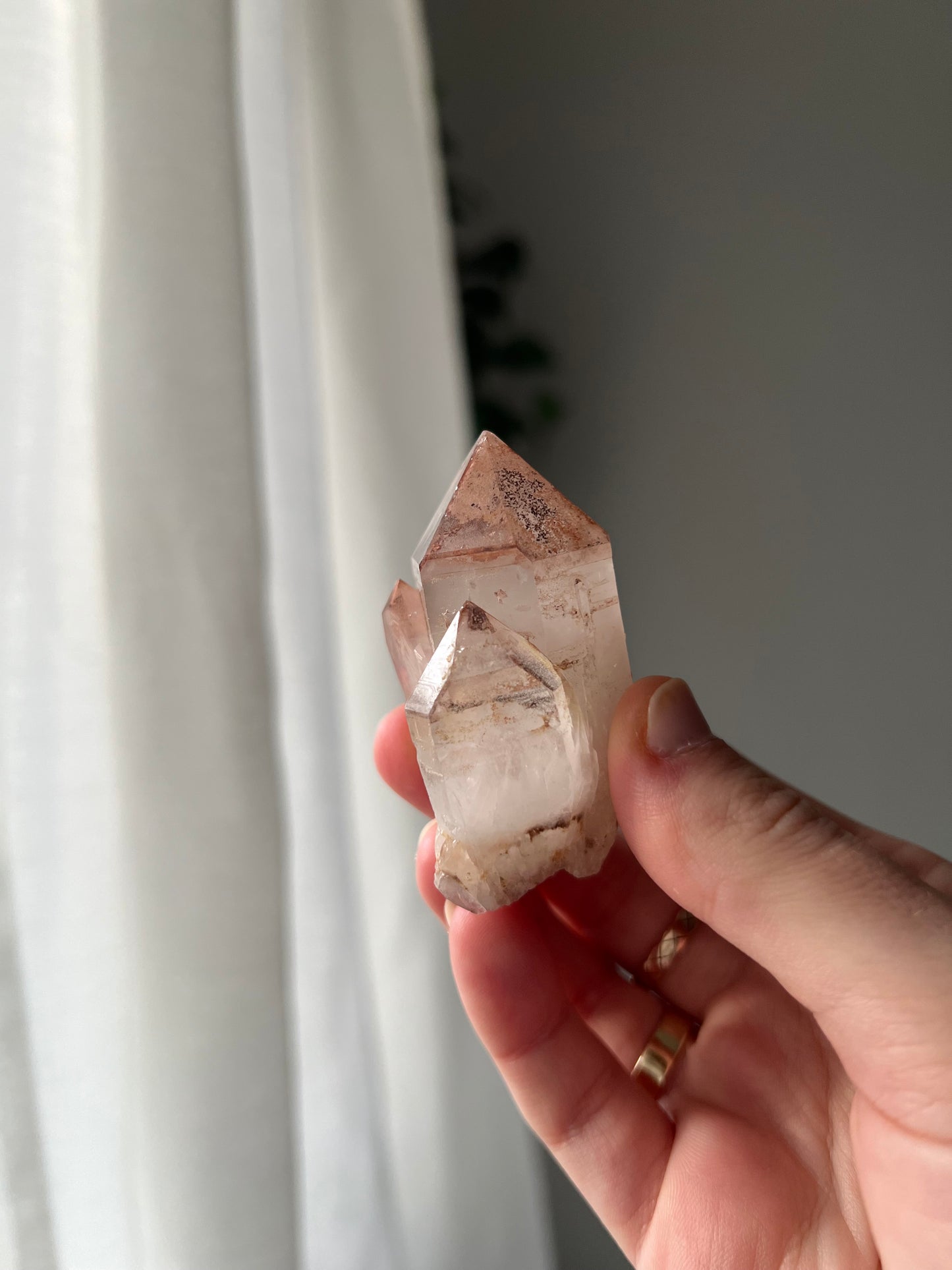 Quartz with Hematite from Toms Mountain Queensland
