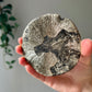 Pyrite Sun from Sparta Illinois USA 07