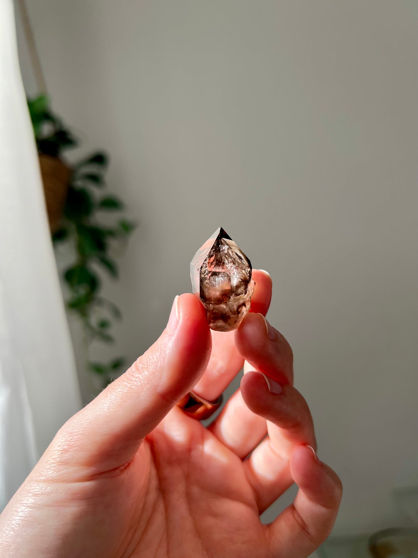 Smokey Quartz from NT