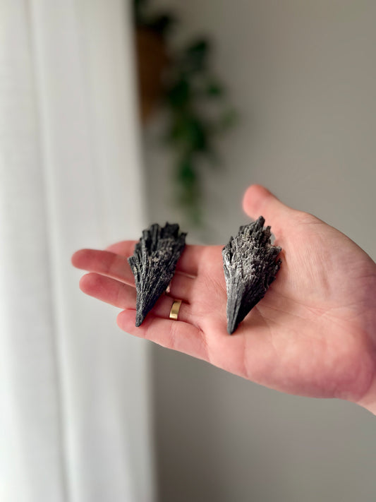 Black Kyanite fans from Brazil