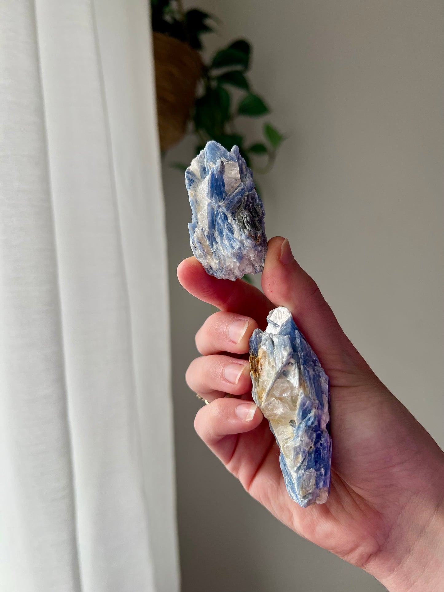 Kyanite with Quartz from Brazil
