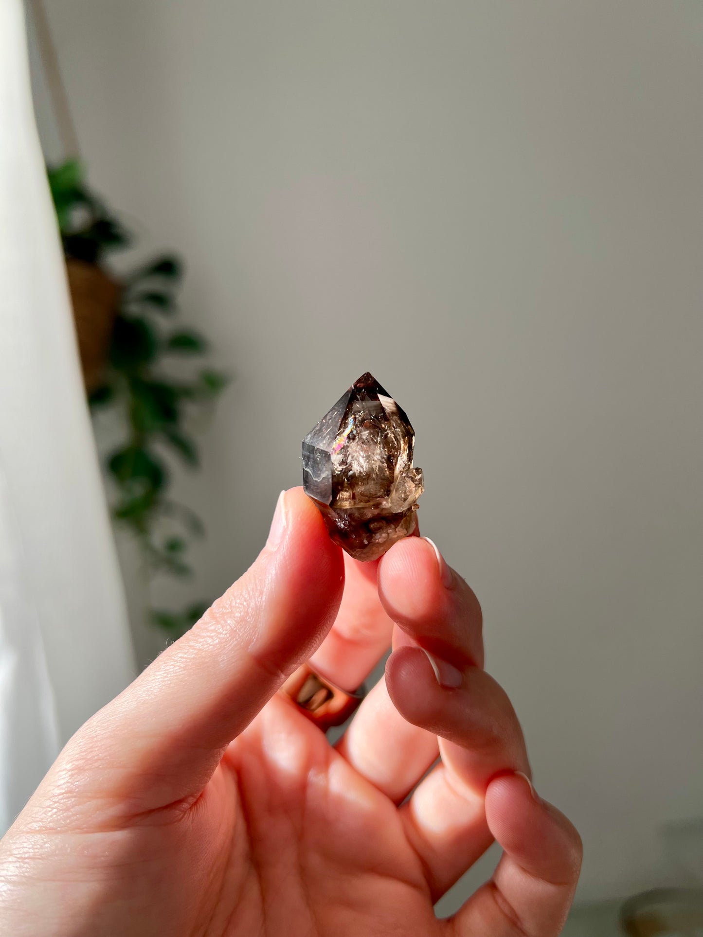 Smokey Quartz from NT